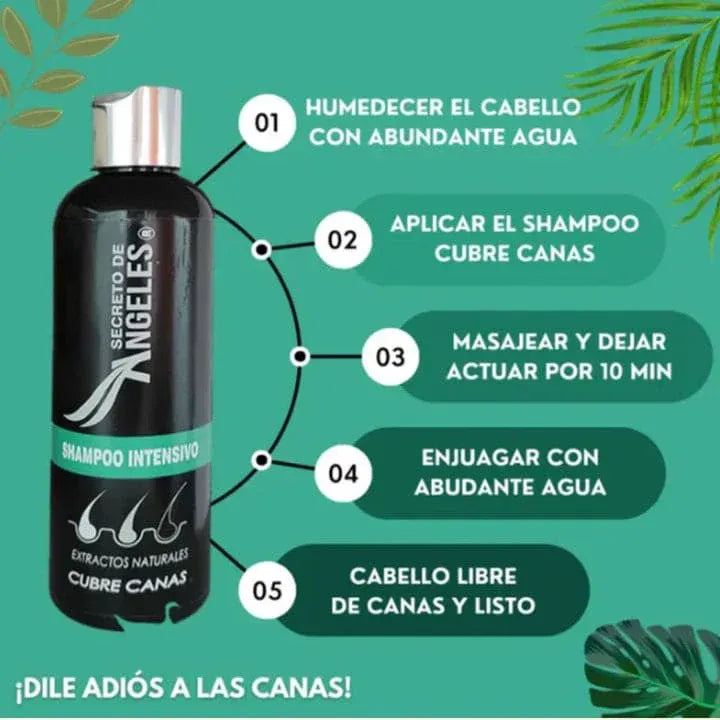 Combo Anti-Edad Capilar | Shampoo cubre canas + 🎁Colágeno Fortalecedor + 🎁Exfoliante Revitalizante