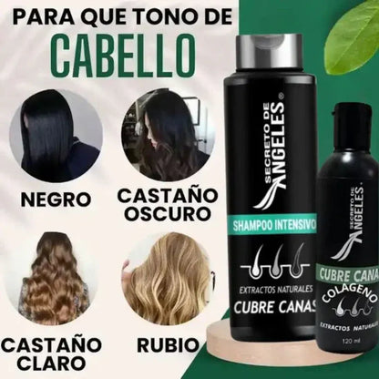 Combo Anti-Edad Capilar | Shampoo cubre canas + 🎁Colágeno Fortalecedor + 🎁Exfoliante Revitalizante